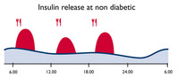 Insulin release at non diabetic:  (© )